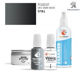 Stylo Retouche Peugeot 9PM4 GRIS SHARK NACRE