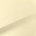 Stylo Retouche Chevrolet WA830K LIGHT CASHMERE MAT