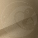 Stylo Retouche Peugeot ELL BEIGE PYRITE NACRE MET