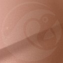 Stylo Retouche Peugeot M0EM BEIGE TAIGA MET