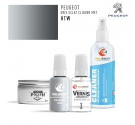 HTW GRIS ECLAT CLIQUER MET Peugeot