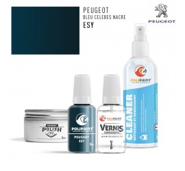 Stylo Retouche Peugeot ESY BLEU CELEBES NACRE