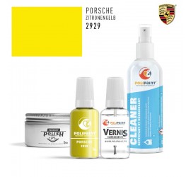 2929 ZITRONENGELB Porsche