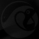 Stylo Retouche Mercedes 696 NIGHT BLACK