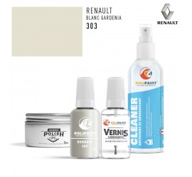 303 BLANC GARDENIA Renault