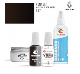 D17 MARRON GLACE NACRE Renault