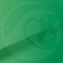 Stylo Retouche Renault DNR VERT ALIEN NACRE