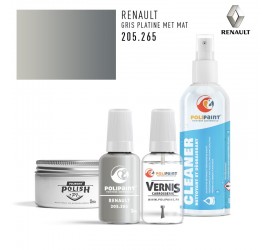 Stylo Retouche Renault 205.265 GRIS PLATINE MET MAT