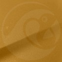 Stylo Retouche Renault 368 AMARILLO PAMPLEMOUSSE