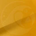 Stylo Retouche Renault J37 JAUNE SYRIUS NACRE