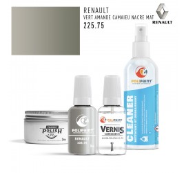 225.75 VERT AMANDE CAMAIEU NACRE MAT Renault