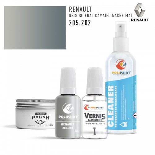 Stylo Retouche Renault 205.202 GRIS SIDERAL CAMAIEU NACRE MAT