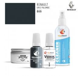 Stylo Retouche Renault 666 GRIS PALOMBE