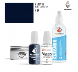 Stylo Retouche Renault 489 BLEU MYOSOTIS