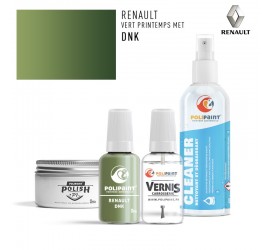 DNK VERT PRINTEMPS MET Renault