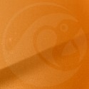 Stylo Retouche Renault EQC ORANGE TONIC NACRE