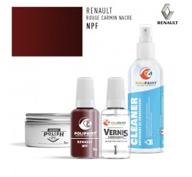 Stylo Retouche Renault NPF ROUGE CARMIN NACRE