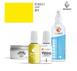 391 JAUNE Renault