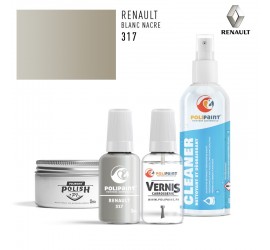 Stylo Retouche Renault 317 BLANC NACRE