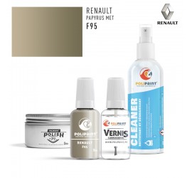 F95 PAPYRUS MET Renault