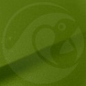 Stylo Retouche Renault DPA VERT BAMBOU