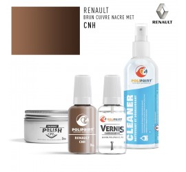 Stylo Retouche Renault CNH BRUN CUIVRE NACRE MET