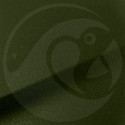 Stylo Retouche Renault F91 VERT RAINETTE