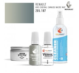 205.187 GRIS SIDERAL CAMAIEU NACRE MAT Renault