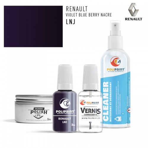 Stylo Retouche Renault LNJ VIOLET BLUE BERRY NACRE