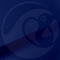 Stylo Retouche Seat S5J BLEU LAPIS-LAZULI