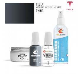 Stylo Retouche Tesla PMNG MIDNIGHT SILVER PEARL MET