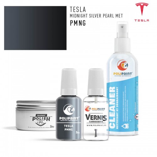 Stylo Retouche Tesla PMNG MIDNIGHT SILVER PEARL MET