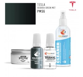 PMSG SEQUOIA GREEN MET Tesla
