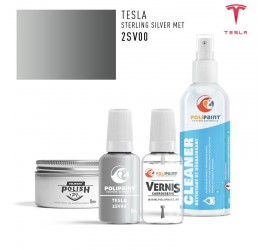 2SV00 STERLING SILVER MET Tesla
