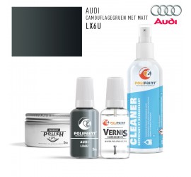 LX6U CAMOUFLAGEGRUEN MET MATT Audi