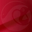 Stylo Retouche Hyundai EV CALYPSO RED PEARL