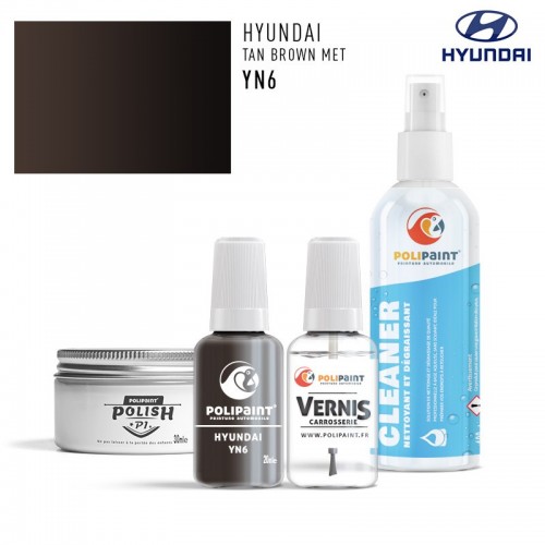 Stylo Retouche Hyundai YN6 TAN BROWN MET