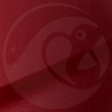 Stylo Retouche Infiniti NAJ ALIZARIN CRIMSON PEARL