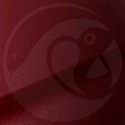 Stylo Retouche Infiniti NAW COULIS RED METALLIC