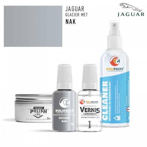 Stylo Retouche Jaguar NAK GLACIER MET
