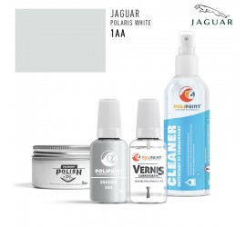 Stylo Retouche Jaguar 1AA POLARIS WHITE