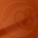 Stylo Retouche Land Rover 2171 PHOENIX ORANGE MET