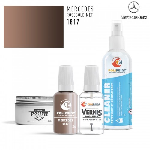 Stylo Retouche Mercedes 1817 ROSEGOLD MET