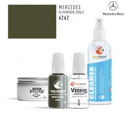 6262 OLIVGRUEN SDGLZ Mercedes