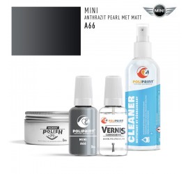 A66 ANTHRAZIT PEARL MET MATT Mini