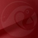 Stylo Retouche Mitsubishi P19 RED MET