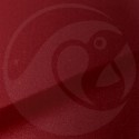 Stylo Retouche Nissan NAJ ALIZARIN CRIMSON PEARL
