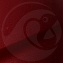Stylo Retouche Nissan NBM DARK TINTED RED PEARL