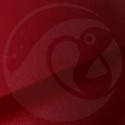 Stylo Retouche Nissan NBY TRICOAT RED