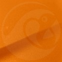Stylo Retouche Opel 99U MANDARIN